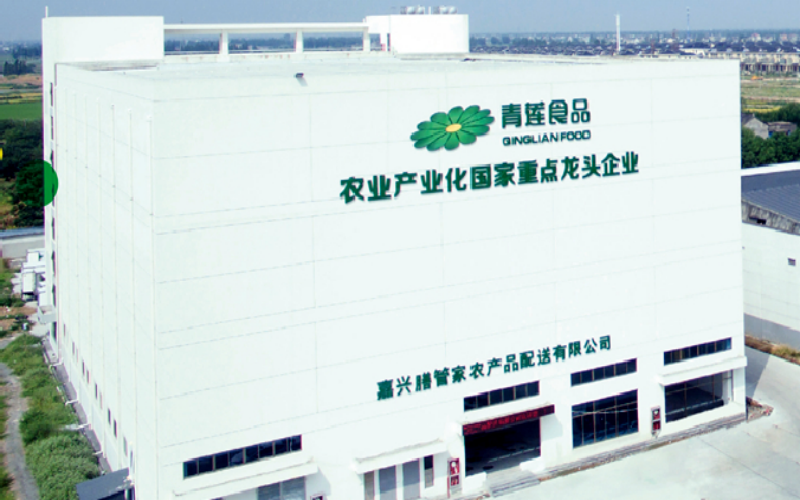 浙江青蓮食品有限公司發展規劃、組織架構優化、薪酬體系、精細化生產項目